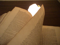 llivre-pn