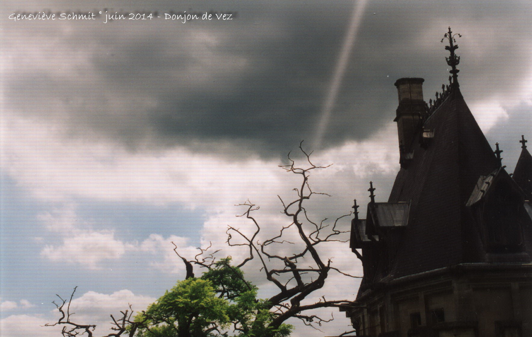 rencontre narcissique